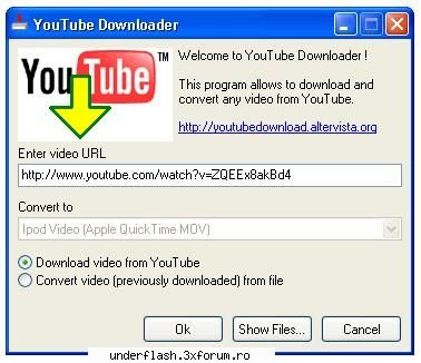 youtube downloader